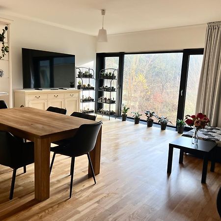 Artflora Kv Premium Apartment Karlovy Vary Exterior photo