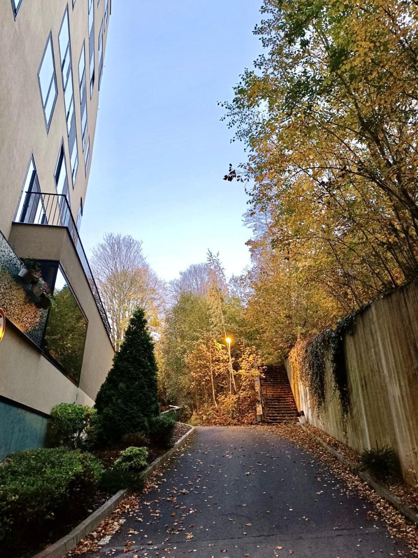 Artflora Kv Premium Apartment Karlovy Vary Exterior photo